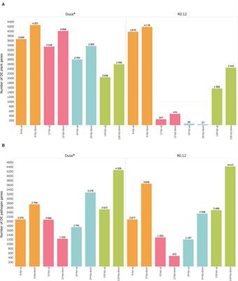 Differing Responses to Phytophthora cinnamomi Infection in Susceptible and Partially Resistant Persea americana (Mill.) Rootstocks: A Case for the Role of Receptor-Like Kinases and Apoplastic Proteases